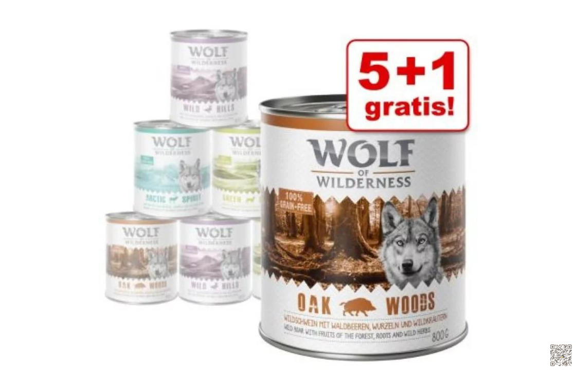 You are currently viewing Wolf of Wilderness Nassfutter im Vergleich
