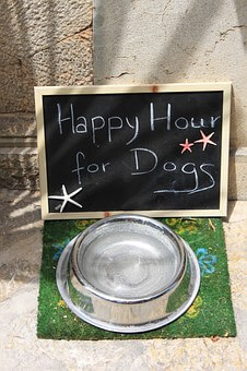Happy Hour for Dogs
