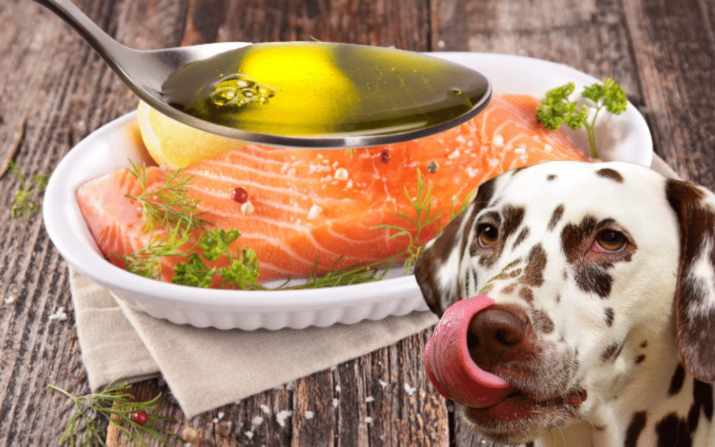 Lachsöl – Gesund für Hunde?