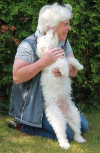 Lagotto Romagnolo Welpe vom Tietenhof