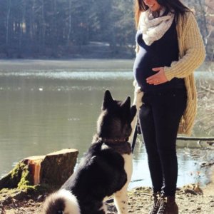 hochschwangere Frau mit ihrem Hund in der Natur