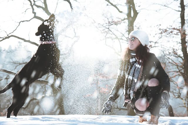 Richtig handeln bei einem Eisunfall Eisunfall