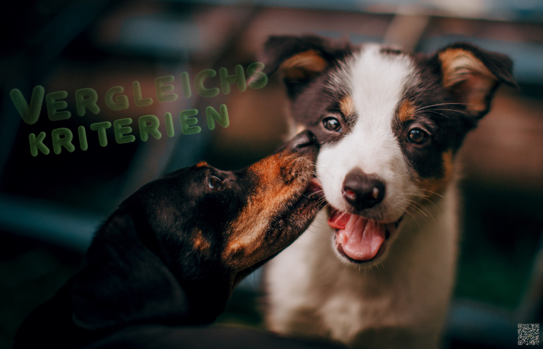 Read more about the article Unsere Vergleich-Kriterien bei Hundefutter