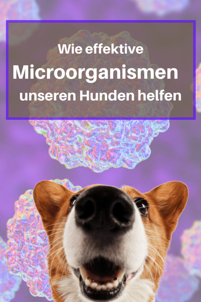 Effektive Microorganismen