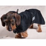 Hundemantel