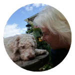 Heike G. , Lagotto