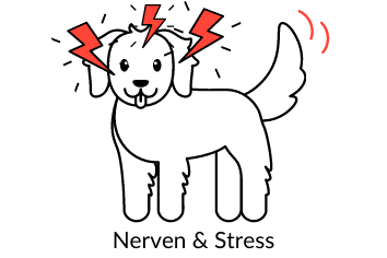 Nerven & Stress Nahrungsergänzungsmittel