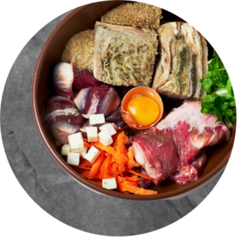 Hundefutter Vergleich und Test 2024