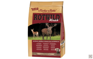 Mehr über den Artikel erfahren Markus-Mühle Rotwild Hirsch