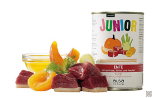 Mehr über den Artikel erfahren alsa Junior Ente