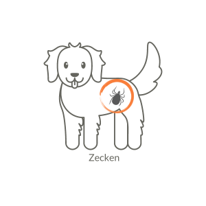 Zecken