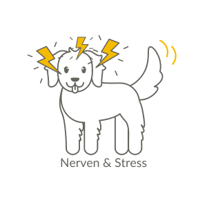 Nerven & Stress