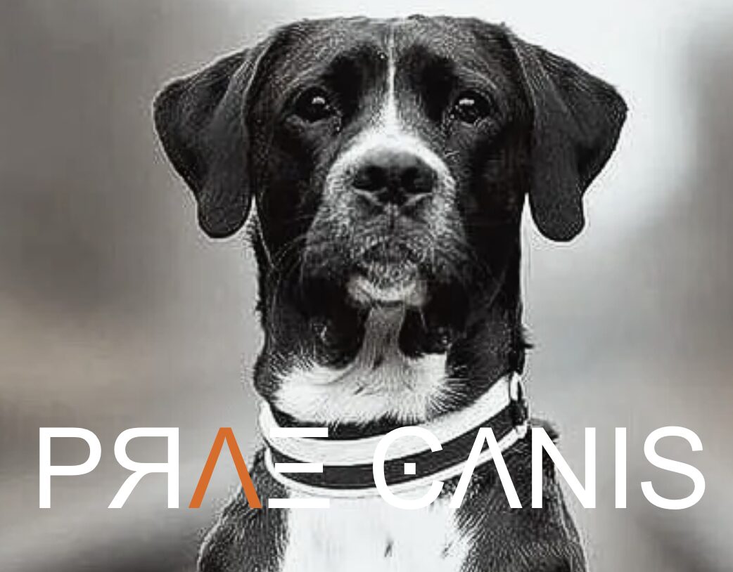 Mehr Freiheit & Sicherheit für Hundeprofis! 5 Ümit Kaç - Hundeverhaltenstherapeut