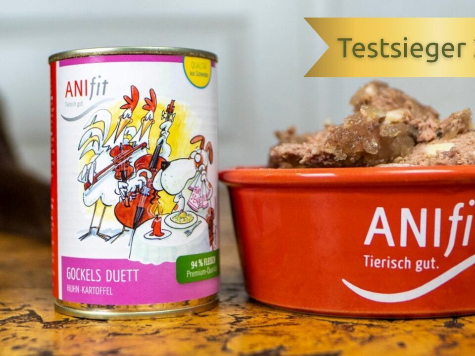 ANIfit Testsieger