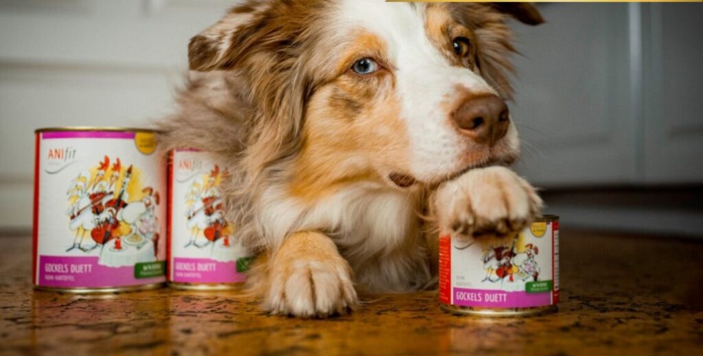 ANIfit Testsieger 2026