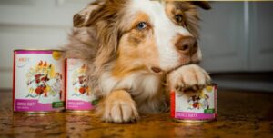 Mehr über den Artikel erfahren Anifit Nassfutter im Vergleich – Testsieger 2026