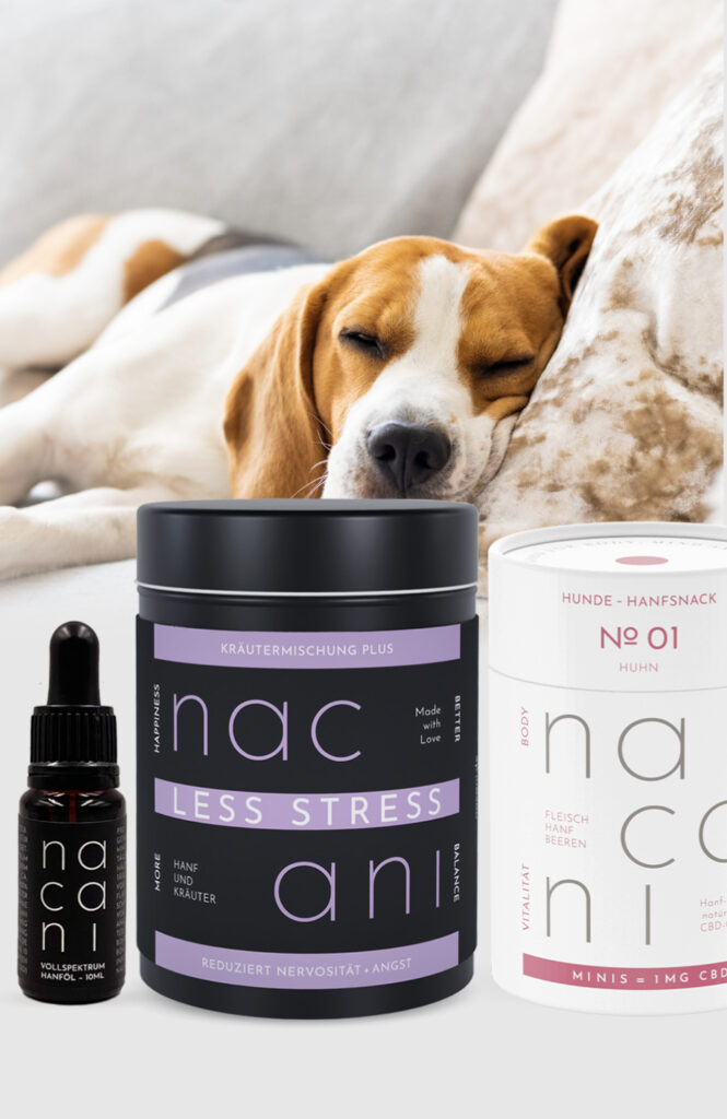 nacani, CBD, Relax, Silvester