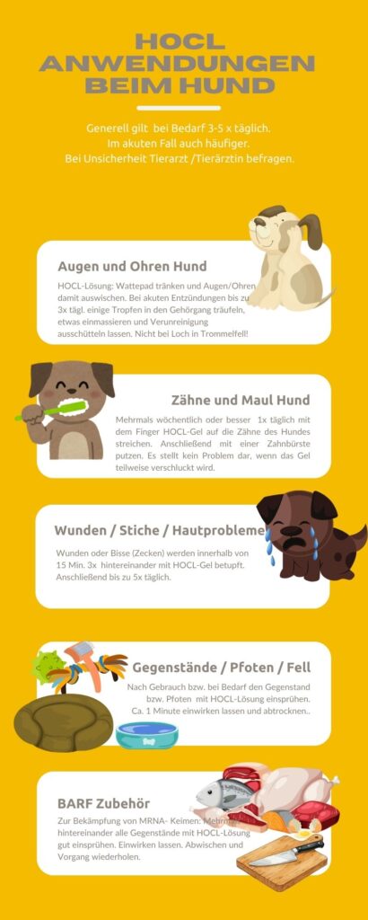Infografik: HOCL Anwendung beim Hund – Ohren, Augen, Maul, Haut, Pfoten und Zubehör