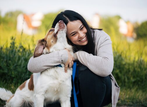 Hundeernährungsberatung bei Allergien – Fallbeispiel Verbesserungen
